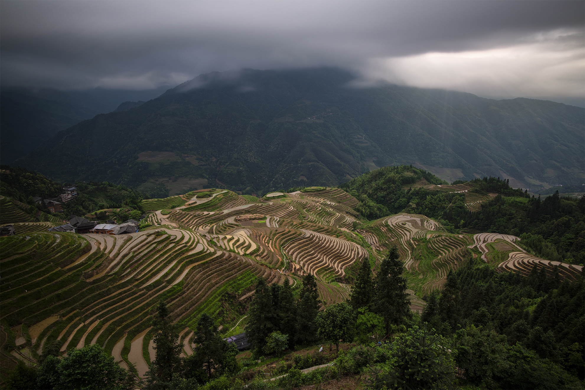 Rice terraces above Pingan Village, Longsheng