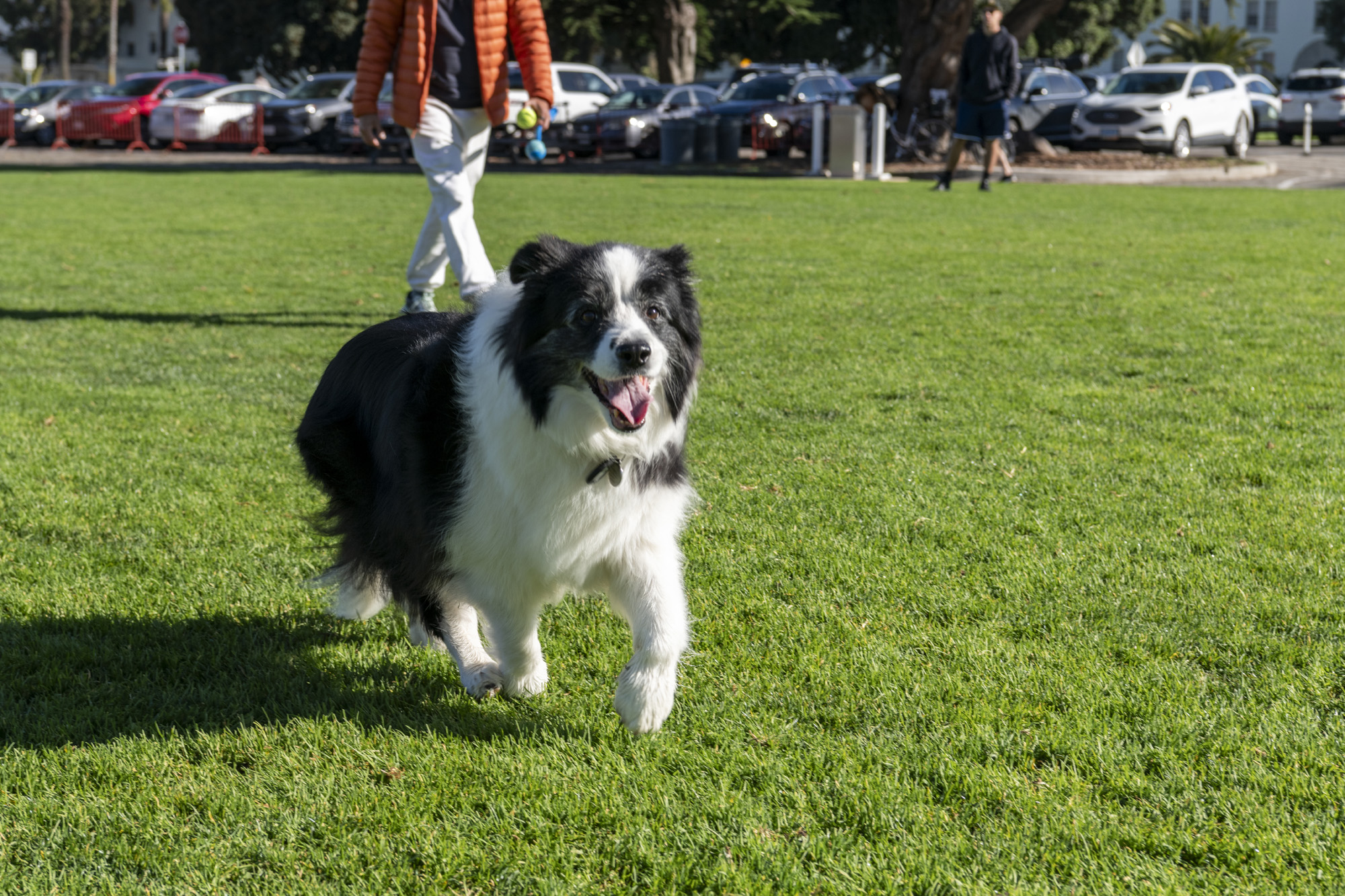 Main Parade lawn, Presidio