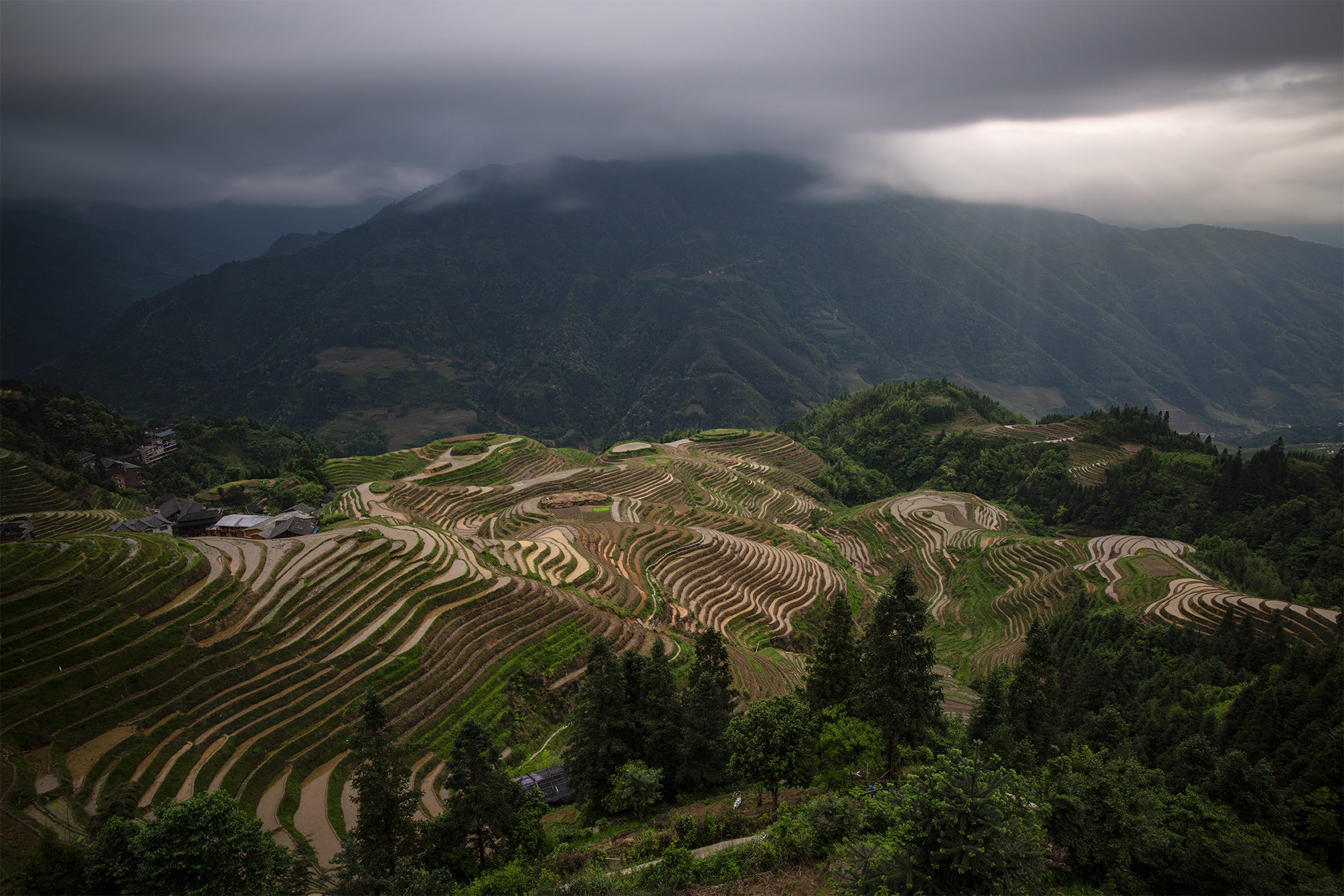 views overlooking the mountain terraces of Seven Stars and Moon in Longji, China